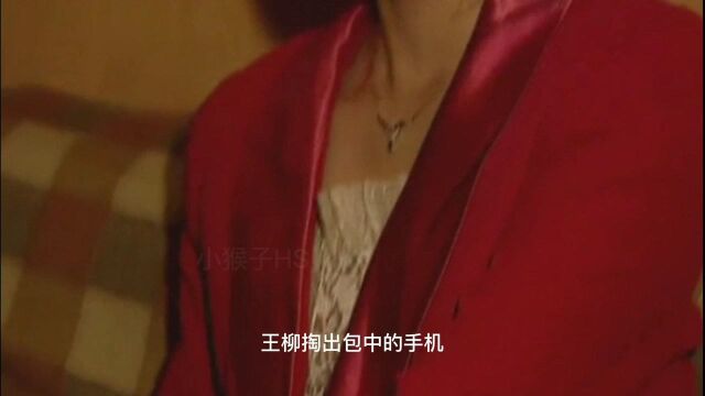 漂亮的王柳被渣男伍德抛弃,最后王柳选择了与他同归于尽