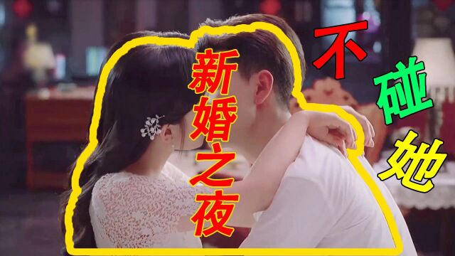 一见倾心大结局:新婚之夜不碰她,原来他早就为她,安排好了余生!