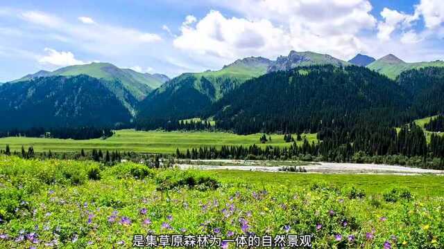 独库公路只用一天纵览雪山,草原,森林,戈壁是一种什么体验?