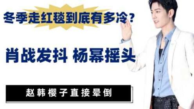 冬季走红毯到底有多冷?肖战发抖,杨幂摇头,林宥嘉缩成一米三