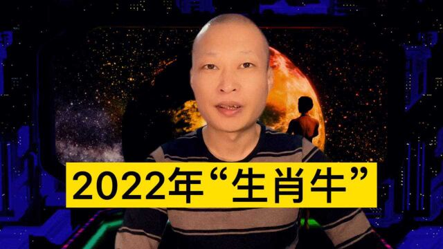 2022年“生肖牛”!来看看