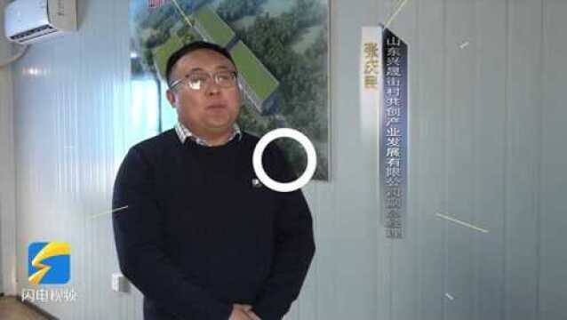 街村共创 共同富裕——枣庄高新区兴城街道建设山东兴晟街村共创产业园