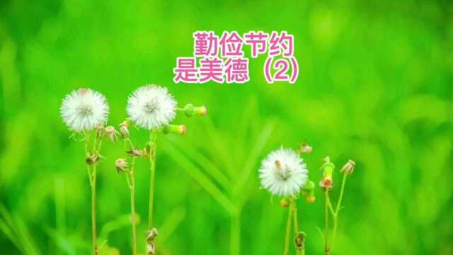 勤俭节约是美德(2)