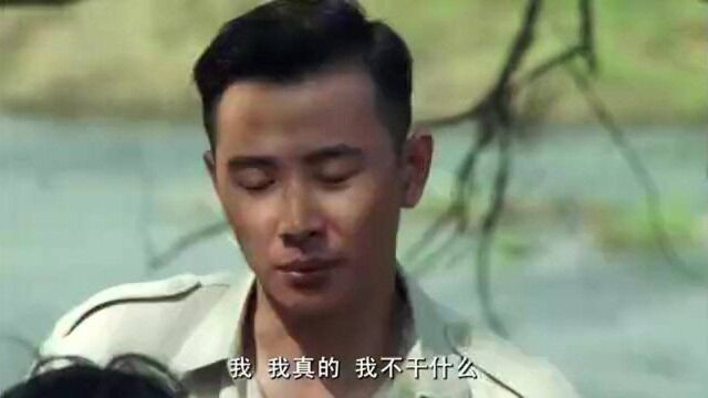 远去的飞鹰