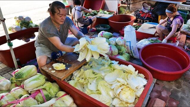 被媳妇嫌弃太懒,大哥借5000元卖白菜,每月进账30万,邻居都羡慕了