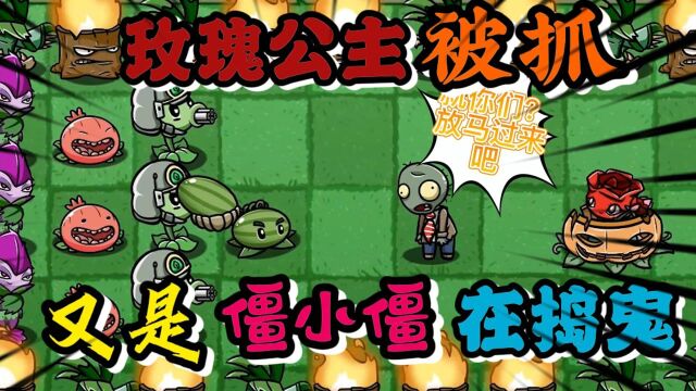 PVZ故事;玫瑰公主被抓!背后又是僵小僵在捣鬼!