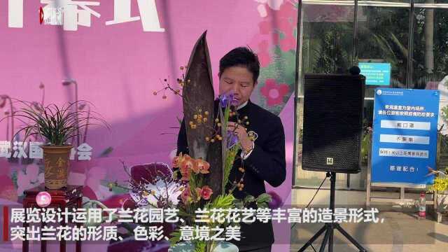 领带兰,火焰兰,珍品国兰……武汉植物园热带兰花展开讲兰文化