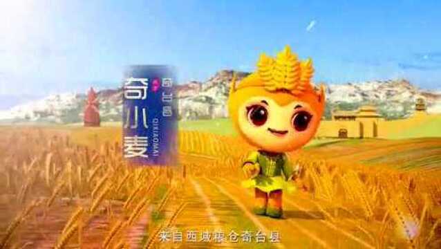 奇台县网络文化IP形象 萌萌哒“奇小麦” 闪亮登场