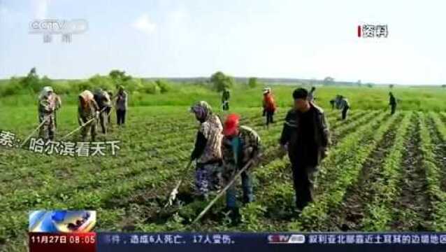 各村快看!中央定了!土地承包关系最新消息来了