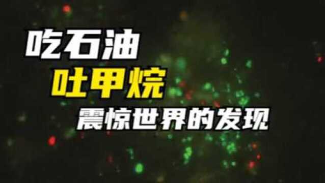 四川发现35亿年前的微生物,可生成甲烷,以后天然气用不完?