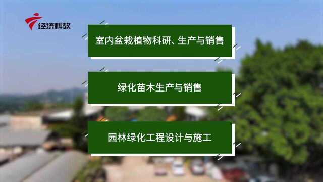 广东新焦点发布广东电视台播出——台山市绿香美园艺科技有限公司