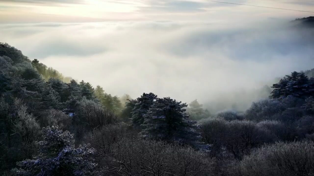 河南尧山:迎来2022年第一场雪,简直美翻了!