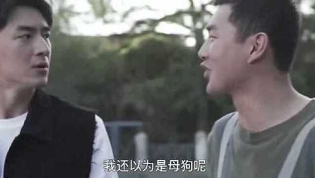 林更新、张子栋竟在电影中饰演一对情侣狗狗