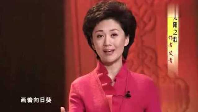 央视主持人赵赫突然去世 原因和年龄引发关注