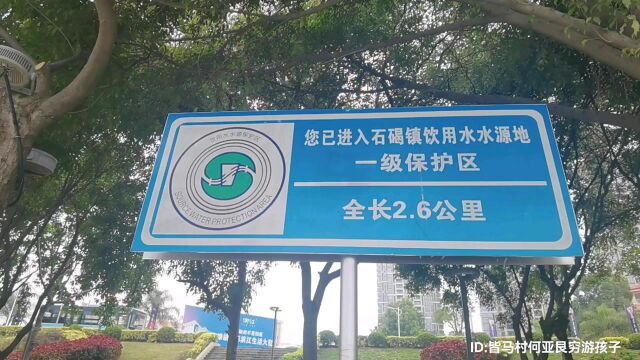 东莞滨江公园,石碣大桥,河边绿道徒步骑行跑步好地方