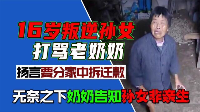 叛逆少女打骂奶奶嚷着分家产,殊不知自己是捡来的,得知真相崩溃(一)