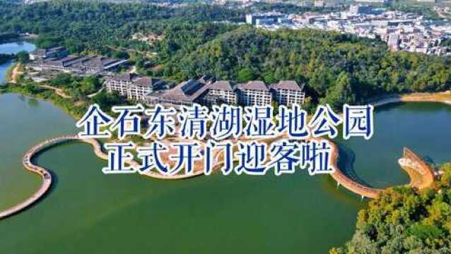 东莞企石东清湖湿地公园建成正式开门迎客啦,周末又一休闲好去处