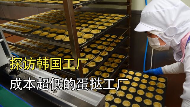 探访韩国蛋挞工厂:一天生产100万个蛋挞,成本超低