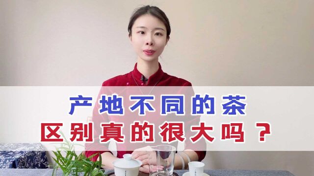 橘生淮南为橘,生于淮北则为枳,产区不同的茶,区别有那么大吗?