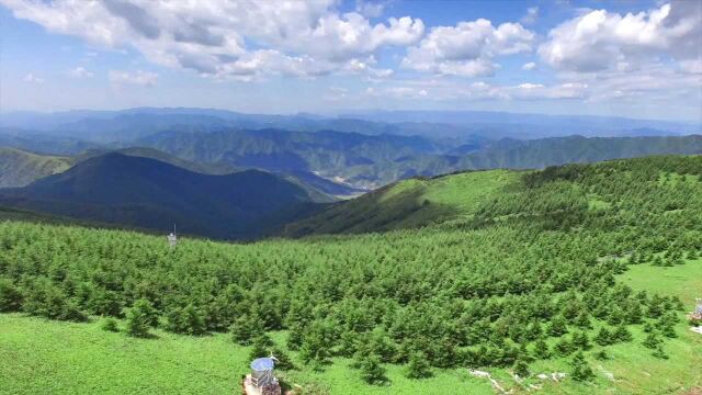 北京冬奥会可持续性系列宣传片丨表土剥离