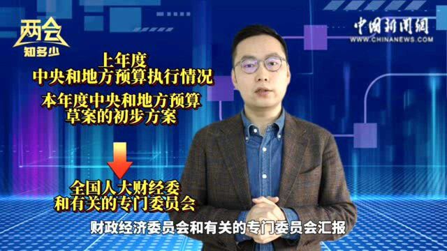 两会知多少|中国的“国家账本”如何审查?