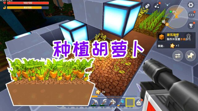 迷你世界双人生存53:满载而归,回到空岛种植胡萝卜,制作法杖