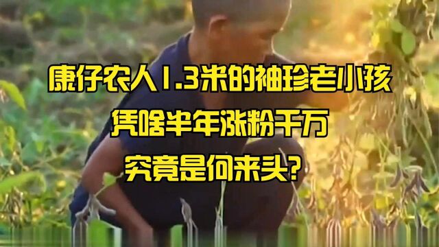 康仔农人1.3米的袖珍老小孩,凭啥半年涨粉千万,究竟是何来头?