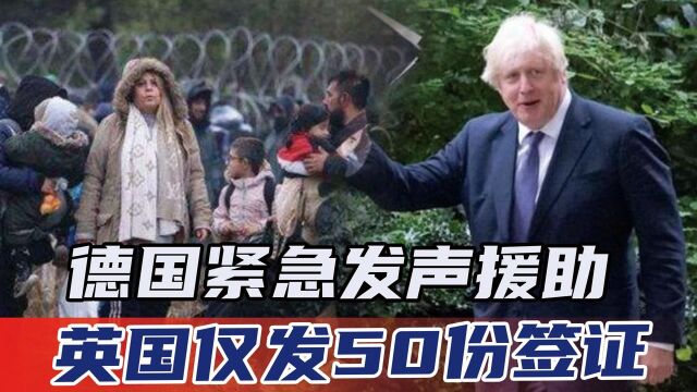 500万难民成世界难题!德国紧急发声援助,英国仅发50份签证