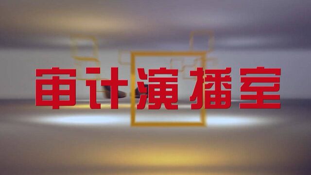 审计演播室丨汪德华:以审计监督助力积极的财政政策提升效能