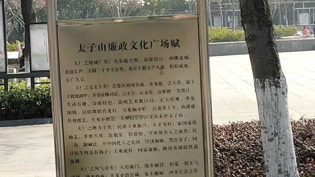 春季公园随手拍摄