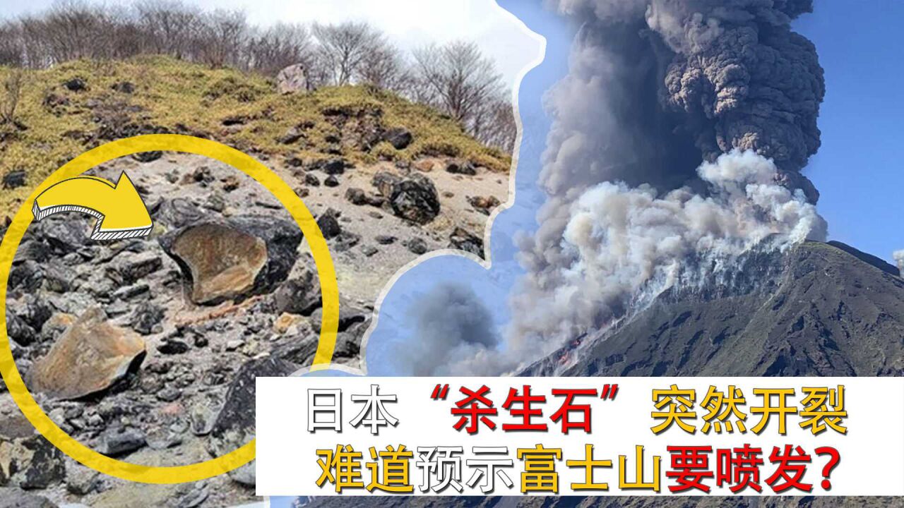 日本国宝"杀生石"突然裂开,这预示着什么?是火山喷发的前兆吗