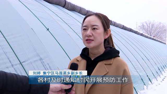 集宁区积极应对暴雪天气 确保设施农业生产安全