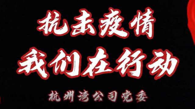 同心携手,共抗疫情 杭州湾公司党员先锋服务队在行动! 致敬每一位战“疫”人,加油!