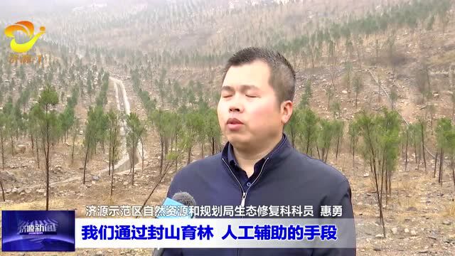 济源:黄河流域系统治理 守住绿水青山