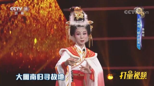 徐海霞演唱黄梅戏《昭君出塞》,服饰靓丽,唱腔甜美