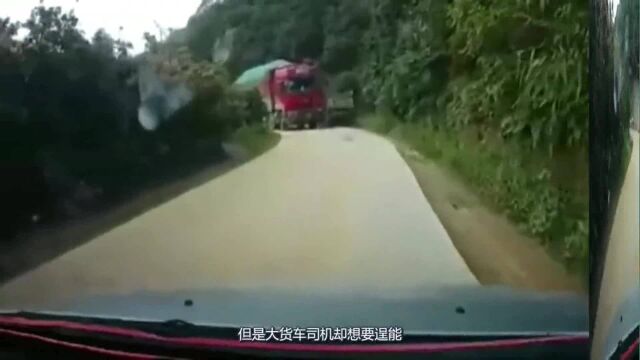 都以为奔马车是“杀人凶手”,当司机打开记录仪时,所有人沉默了