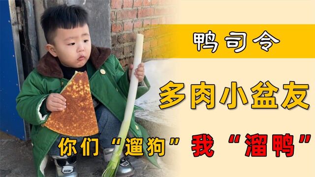 多肉小盆友:萌娃每天“溜鸭”走红网络,呆萌捣蛋萌翻无数网友!