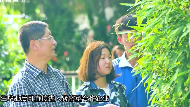 与园艺共融,与都市相拥——都市园林艺术