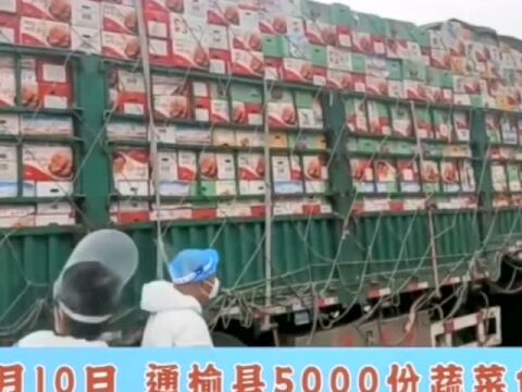 “通”心相助!不遗“榆”力!通榆5000份蔬菜包送达长春!