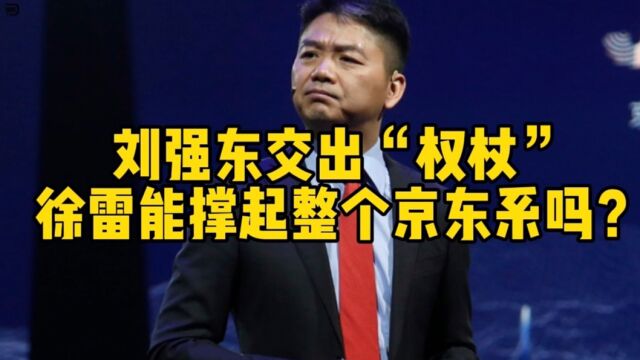 刘强东卸任CEO,徐雷接棒,他是什么来头?