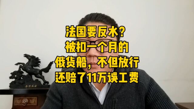 花千芳:法国要反水?被扣一个月的俄货船,不但放行还陪了11万误工费