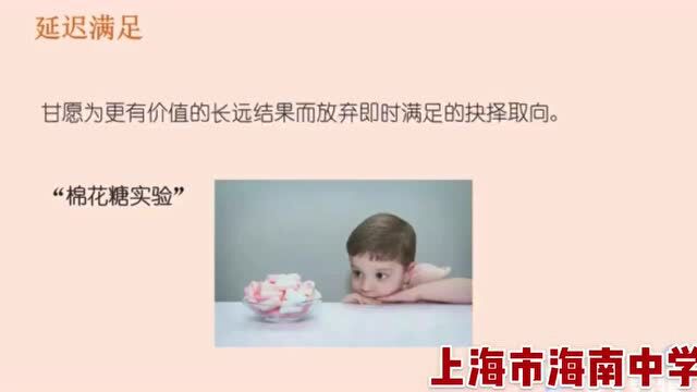 疫情期间,有这样一个为学生开启的“树洞”