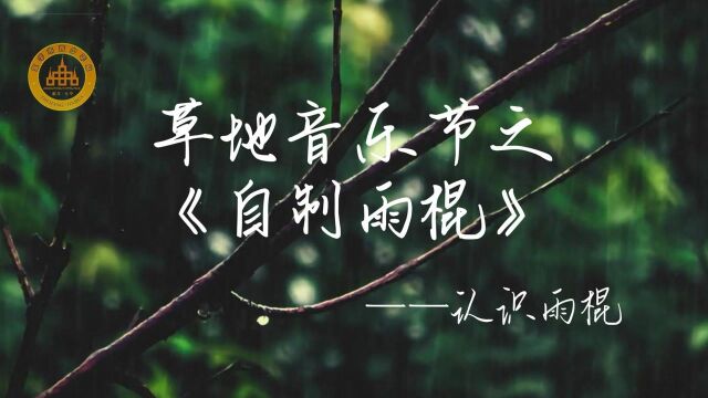 草地音乐节之“认识雨棍”