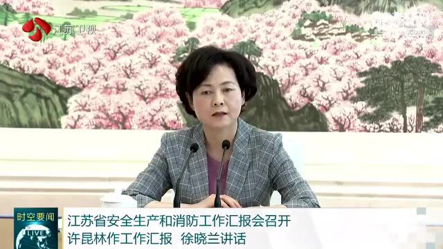 江苏省安全生产和消防工作汇报会召开