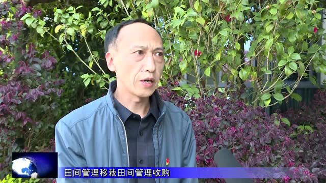 【乡村振兴进行时】上坝乡:农技指导员深入田间地头助春耕