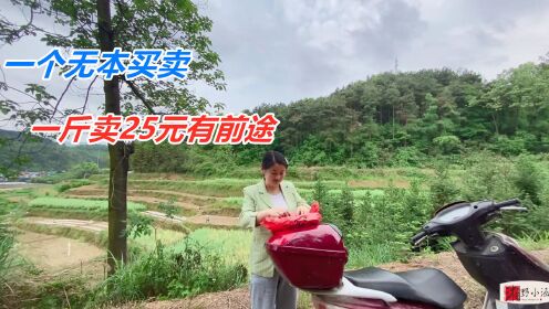 现今加盟无本赚钱好买卖