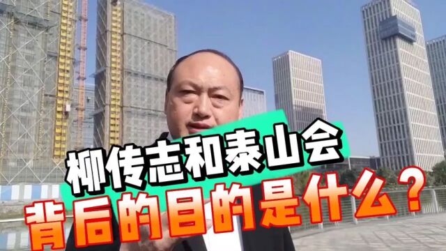 柳氏家族所做的一切只为钱吗,后面有多少不可告人的目的?