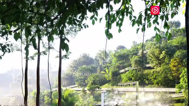 项目解析福田区香蜜湖街道香安社区海德园