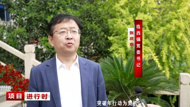 【项目进行时】临西镇:打造营商环境“高地” 培育投资兴业“热土”助力经济发展