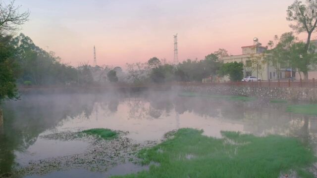 实拍新农村春天风景池塘清晨雾气雾景